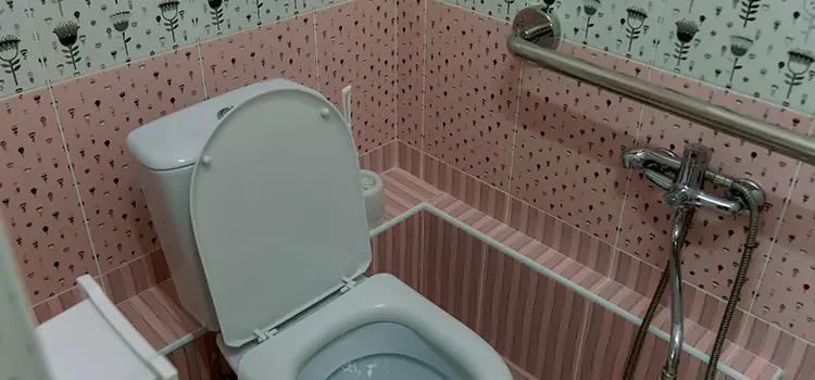 Meeting Diverse Needs With Accessible Restroom Solutions in Addison, IL